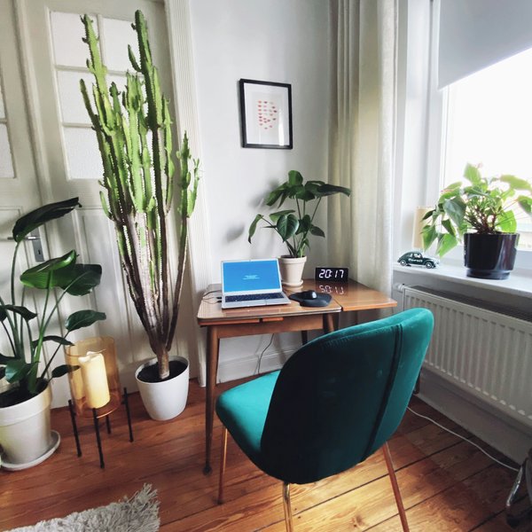 What are the best ways to integrate biophilic design elements into a UK city home office?